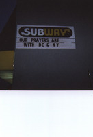 P5.JPG