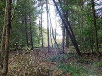 MVC-666034S.JPG