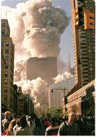 Item 93895