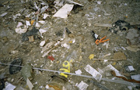 546.JPG