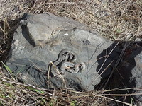MVC-634F.JPG