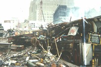 WTc15.jpg