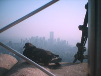704.pjpeg