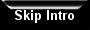 Skip Intro 1.jpg