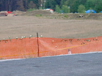 MVC-666019S.JPG